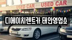 충청남도 태안군 태안읍 렌트카,단기렌트카,장기렌트카,중고차,중고차매매,중고차매입