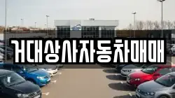 거대상사자동차매매
