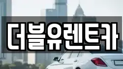 더블유렌트카