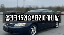 충청북도 괴산군 불정면 렌트카,단기렌트카,장기렌트카,중고차,중고차매매,중고차매입