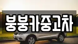 붕붕카중고차