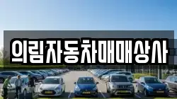 의림자동차매매상사