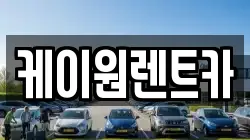 충청북도 단양군 대강면 렌트카,단기렌트카,장기렌트카,중고차,중고차매매,중고차매입