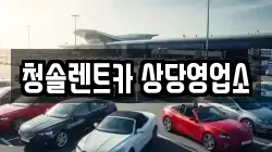 청솔렌트카 상당영업소