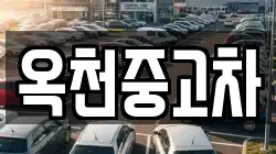 옥천중고차