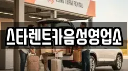 스타렌트카음성영업소
