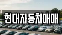 현대자동차매매