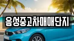 음성중고차매매단지
