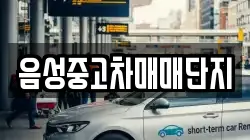 음성중고차매매단지