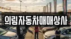 의림자동차매매상사