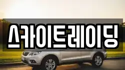 스카이트레이딩