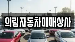 의림자동차매매상사