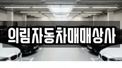 의림자동차매매상사