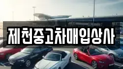 제천중고차매입상사