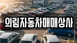 의림자동차매매상사
