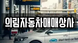 의림자동차매매상사