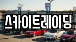 스카이트레이딩