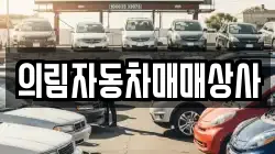 의림자동차매매상사