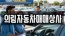 의림자동차매매상사