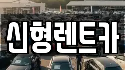 신형렌트카
