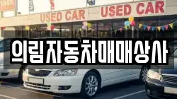 의림자동차매매상사