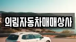 의림자동차매매상사