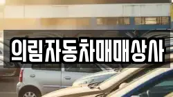 의림자동차매매상사