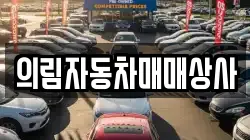 의림자동차매매상사