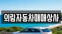 의림자동차매매상사