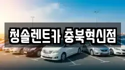 청솔렌트카 충북혁신점