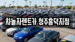 차놀자렌트카 청주흥덕지점