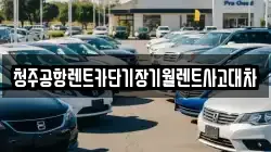 충청북도 청주시 상당구 남주동 렌트카,단기렌트카,장기렌트카,중고차,중고차매매,중고차매입