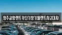 충청북도 청주시 상당구 영동 렌트카,단기렌트카,장기렌트카,중고차,중고차매매,중고차매입
