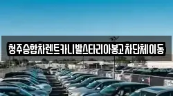 청주승합차렌트카니발스타리아봉고차단체이동