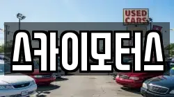 스카이모터스
