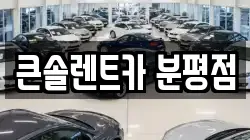 충청북도 청주시 서원구 분평동 렌트카,단기렌트카,장기렌트카,중고차,중고차매매,중고차매입