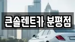 큰솔렌트카 분평점