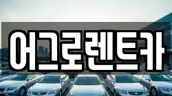 어그로렌트카