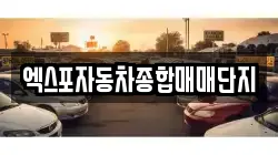 엑스포자동차종합매매단지