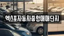 엑스포자동차종합매매단지