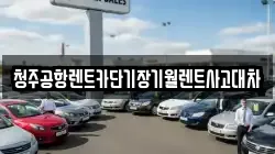 충청북도 청주시 청원구 주성동 렌트카,단기렌트카,장기렌트카,중고차,중고차매매,중고차매입
