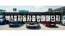 엑스포자동차종합매매단지