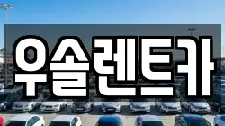 충청북도 청주시 흥덕구 강내면 렌트카,단기렌트카,장기렌트카,중고차,중고차매매,중고차매입