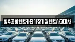 충청북도 청주시 흥덕구 내곡동 렌트카,단기렌트카,장기렌트카,중고차,중고차매매,중고차매입