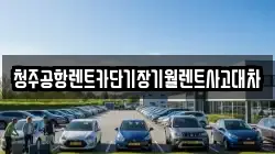 충청북도 청주시 흥덕구 동막동 렌트카,단기렌트카,장기렌트카,중고차,중고차매매,중고차매입