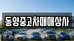 동양중고차매매상사