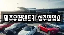 충청북도 청주시 흥덕구 봉명동 렌트카,단기렌트카,장기렌트카,중고차,중고차매매,중고차매입