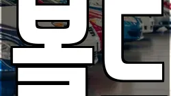 볼드