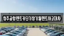 청주공항렌트카단기장기월렌트사고대차