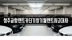 충청북도 청주시 흥덕구 수의동 렌트카,단기렌트카,장기렌트카,중고차,중고차매매,중고차매입